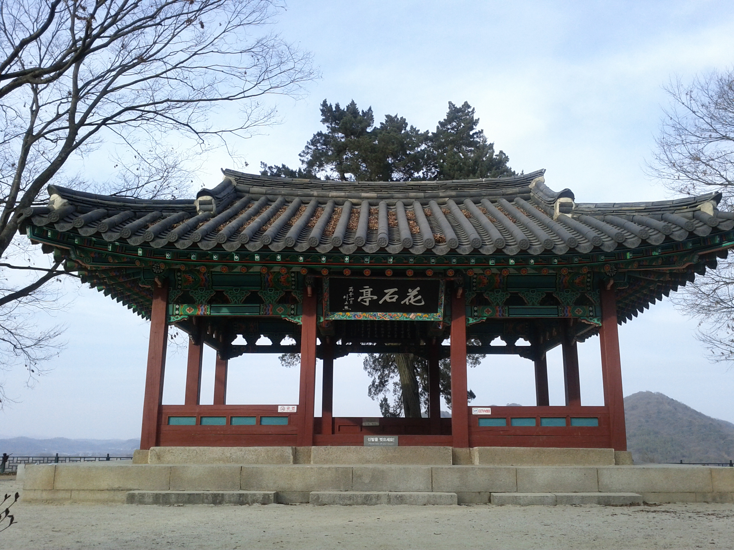 2012년 겨울 잎이 진 나무 사이로 보이는 파주 화석정