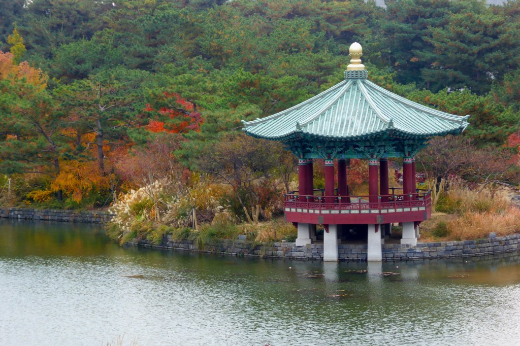 2019년 국립중앙박물관 호수 주변 건물과 물에 비친 가을 풍경